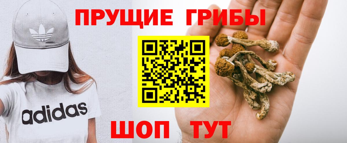 Лысьва  Галлюциногенные грибы MAGIC MUSHROOMS  Вход с VPN  Псилоцибиновые грибы мухоморы 
